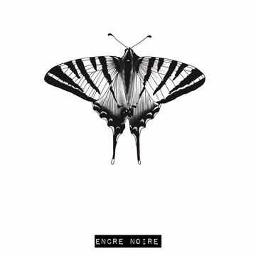 Papillon - Le Flambé (Iphiclides Podalirius)