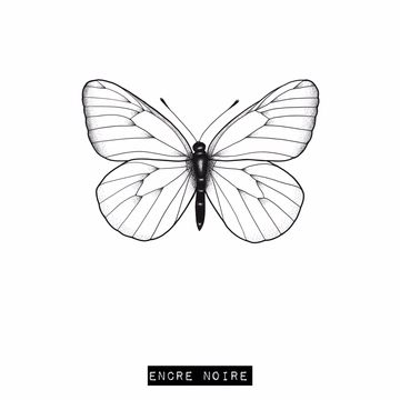 Papillon - Aporia Hippia