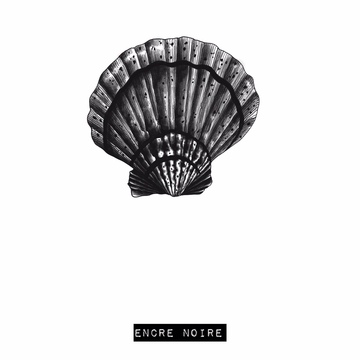 Coquille Saint Jacques 