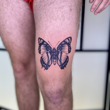 Le papillon de Quentin