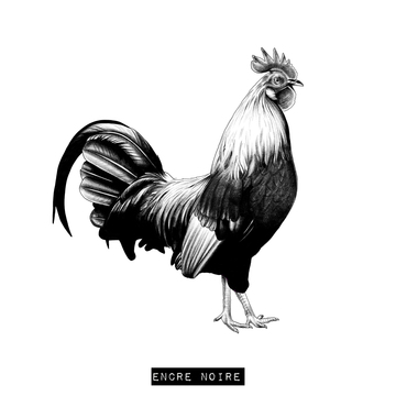 Le coq 