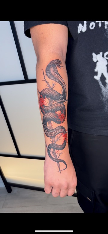 Le cobra de Matis Le cobra de Matis