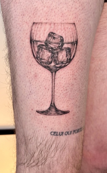 Verre de gin avec glaçons 
