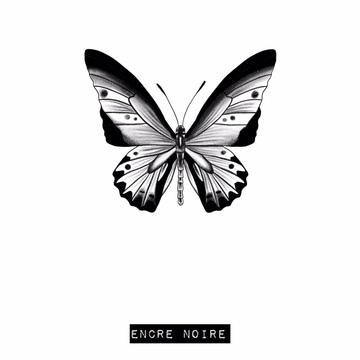 Papillon - Troides Helena 2