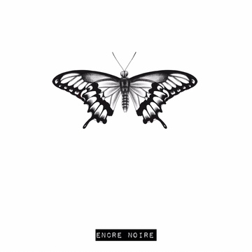 Papillon - Machaon