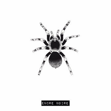 Mygale