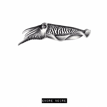 Seiche